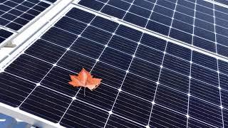 SunPower® Performance Panels in Shade