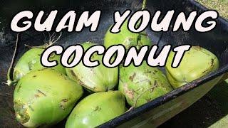 Guam Food: Young Green COCONUT
