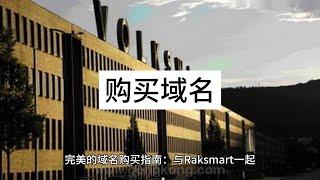 完美的域名购买指南：与Raksmart一起