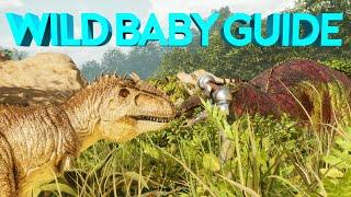 TAMING WILD BABY DINOS GUIDE - Ark Ascended