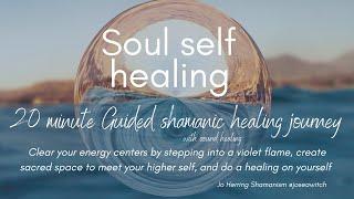 SOUL SELF HEALING - 20 Minute Guided Shamanic journey with immersive sound healing