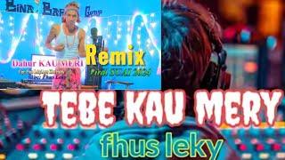 Tebe KAU MERI versi Remix, VIRAL