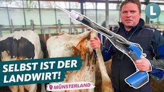 Praxistest: Landwirt nutzt moderne Technik zur Kuh-Besamung! | WDR Lokalzeit Land.Schafft.