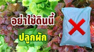 อย่าใช้ดินนี้ปลูกผัก | วิธีเลือกใช้ดินปลูกผักอย่างถูกวิธี | ผักปลอดสารพิษบ้านน้องปลายฝน