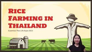 Exploring Rice Farming in Thailand