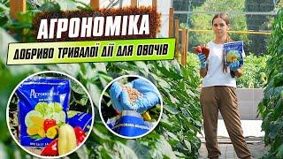 Добриво тривалої дії Агрономіка для овочів. Підживлення томатів, огірків, перцю.