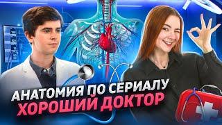 Учим биологию по сериалу "Хороший доктор" | Биология ЕГЭ | Умскул