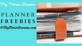 PLANNER FREEBIES | MY MOXIE DREAMS | FC Compact Inserts | #PLANNERFREEBIES | #PLANNERCOMMUNITY