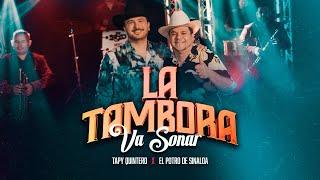 La Tambora Va Sonar  - Tapy Quintero x El Potro De Sinaloa (Video Oficial)