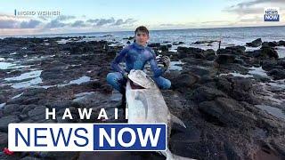 Check this out! This freediving teen from Kauai made the catch of lifetime