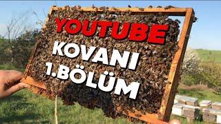 Youtube Kovanı - Sıfırdan Arıcılık - 1.Bölüm