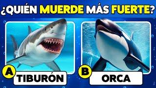  ¿Cuánto Sabes de los ANIMALES del MAR? Trivia de CULTURA GENERAL