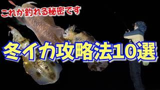 冬イカ釣れないって何？確実に釣れる確率があがる【冬エギング攻略法10選】