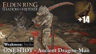 ELDEN RING - ONESHOT All Bosses (28/207): Ancient Dragon-Man