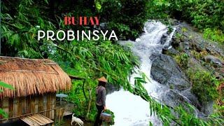 Ang Simpleng Buhay Namin sa Bundok | Nag ihaw ng Pork Barbeque at Nanguha ng Betel Leaves