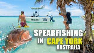 Eating only what we catch Spearfishing on the GREAT BARRIER REEF | SEASON 4