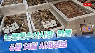 6월 14일 노량진수산시장 만물 (패류031) 시세정보 입니다. 35년 경력으로 믿고 찾아주세요