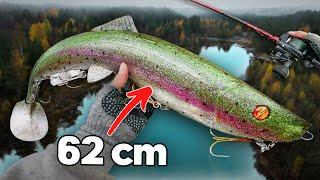 Casting (!!!) a 62 cm / 1,2 kg Swimbait for River Beasts... 