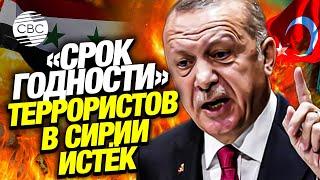 Эрдоган подтвердил: Турция готова начать зачистку севера Сирии от террористов!