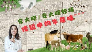 洛杉矶安大略Ontario全面介绍|安大略Ontario ranch全面介绍|安大略新楼盘|洛杉磯安大略Ontario全面介紹|安大略Ontario ranch全面介紹|安大略新樓盤