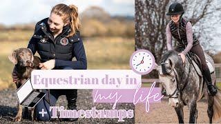 Super Detailed Equestrian Day in the Life (with Timestamps)! | Ride Every Stride