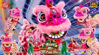 Lion Dance | Xuan Wu | 炫武 | 168 Park Mall | Pink Cute Lions | 粉红萌狮 开张贺庆 双狮地青 民间传统 表演艺术 舞狮採青 鼓乐伴奏