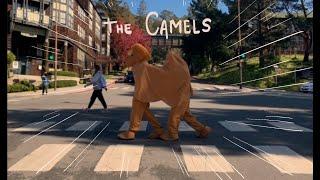 terrorizing uc berkeley as a camel