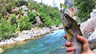 Alabalık Avı / Toroslarda Doğal Alabalık Avı / Trout Fishing