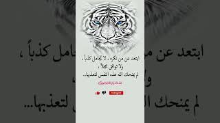 ابتعد عن من تكره ولا  تجامل كذبآ#نصائح#اكسبلور#حكم#روائع#روائع الحكم#عبارات#معلومات#معلومات#قناةنزار