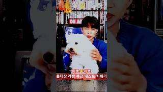 울 대장 라방 특급 게스트 시워리 출연 시월이 안뇽