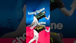 Long Spine = Pain Free, Short Spine = Pain