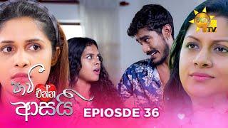 Paavi Enna Aasai - පාවී එන්න ආසයි | Episode 36 | 2024-11-25 | Hiru TV