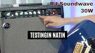 Demo: RJ Soundwave Electric Guitar Amplifier (30w)