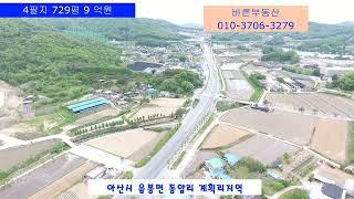 아산시토지,음봉면 토지,