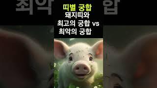돼지띠에게 복을 가져다 주는 띠는? 띠궁합! 돼지띠와 만나면 최고 vs 최악의 궁합 띠 #띠별운세, #띠별궁합, #사주, #대박, #돼지띠, #운세,