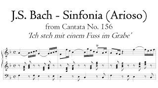 Bach - Arioso (Sinfonia) from Cantata BWV 156 (organ transcription) - Metzler organ, Poblet