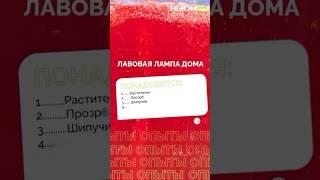 Приготовьтесь ставить, которые удивят даже учителя химии! Смотрите и экспериментируйте.