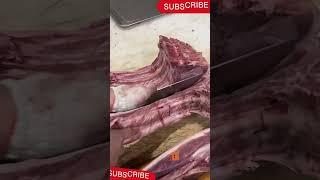 ep 8k390