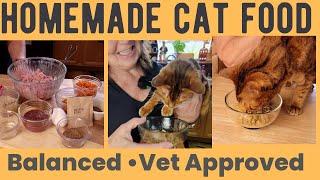 Cat Food Recipe  "Vet Approved" for Optimal Feline Health