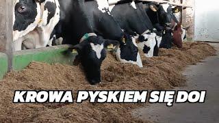 Ekonomika pasz objętościowych