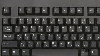 Function keys not working on Windows 11 Fix