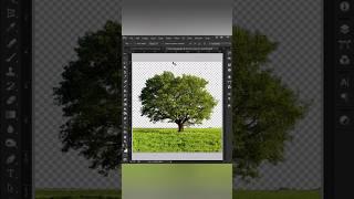 How To Select Complicated Background in Photoshop| Change Background| Visual Graphics