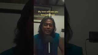 my love will see you through cover