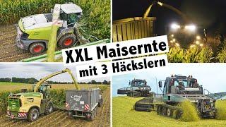 Agrolohn XXL Maisernte mit 3 Häckslern | Pistenraupe | Claas Jaguar | Krone Big X | John Deere 8000i