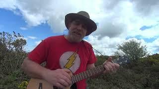 ALISON by Elvis Costello.  Baritone Ukulele Cover.