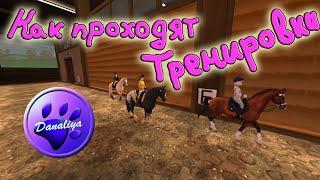 |Star Stable Online|  - Как проходят тренировки. Мини-треня для тебя!