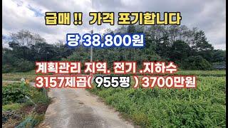 (계약중) 평당38,000원   가격포기합니다 ..955평 3700만원계획관리지역전기.농사용수완비밭으로 사용중이며  건축40% .체류형쉼터 .농막 다 됩니다#싼당#경북땅매매#오지땅