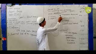 Topic Cell - Class 9th - Teacher Ahsan Niazi - Farabi School System