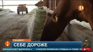 Мелкие животноводческие хозяйства переживают кризис
