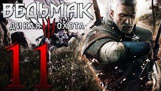 The Witcher 3 Wlid Hunt Прохождение ► ВСАДНИК ДИКОЙ ОХОТЫ #11